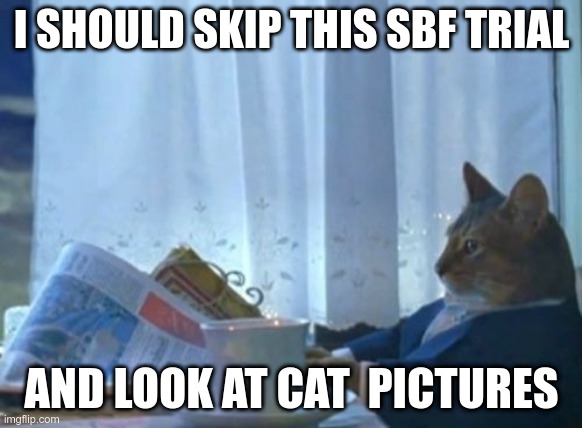 The 'I Should Buy A Boat' meme, with the caption 'I Should Skip This SBF Trial And Look At Cat Pictures.'
