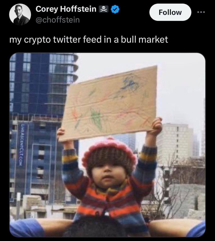 description: The meme of the baby holding up a protest sign full of scribbles.  The tweet reads: 'my crypto twitter feed in a bull market'.  Image source: Corey Hoffstein's Twitter feed, 2024/03/06.  Yes, I'm still calling it 'Twitter.' 